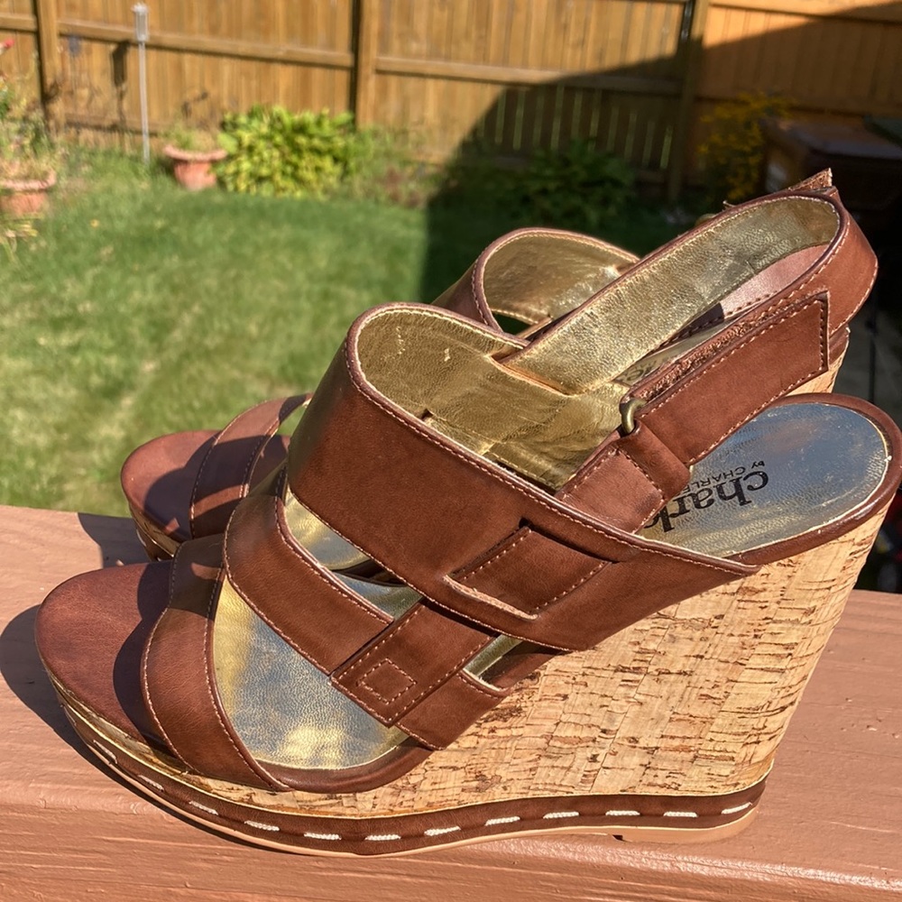 Charles by Charles David Brown Strappy Sandals. 9